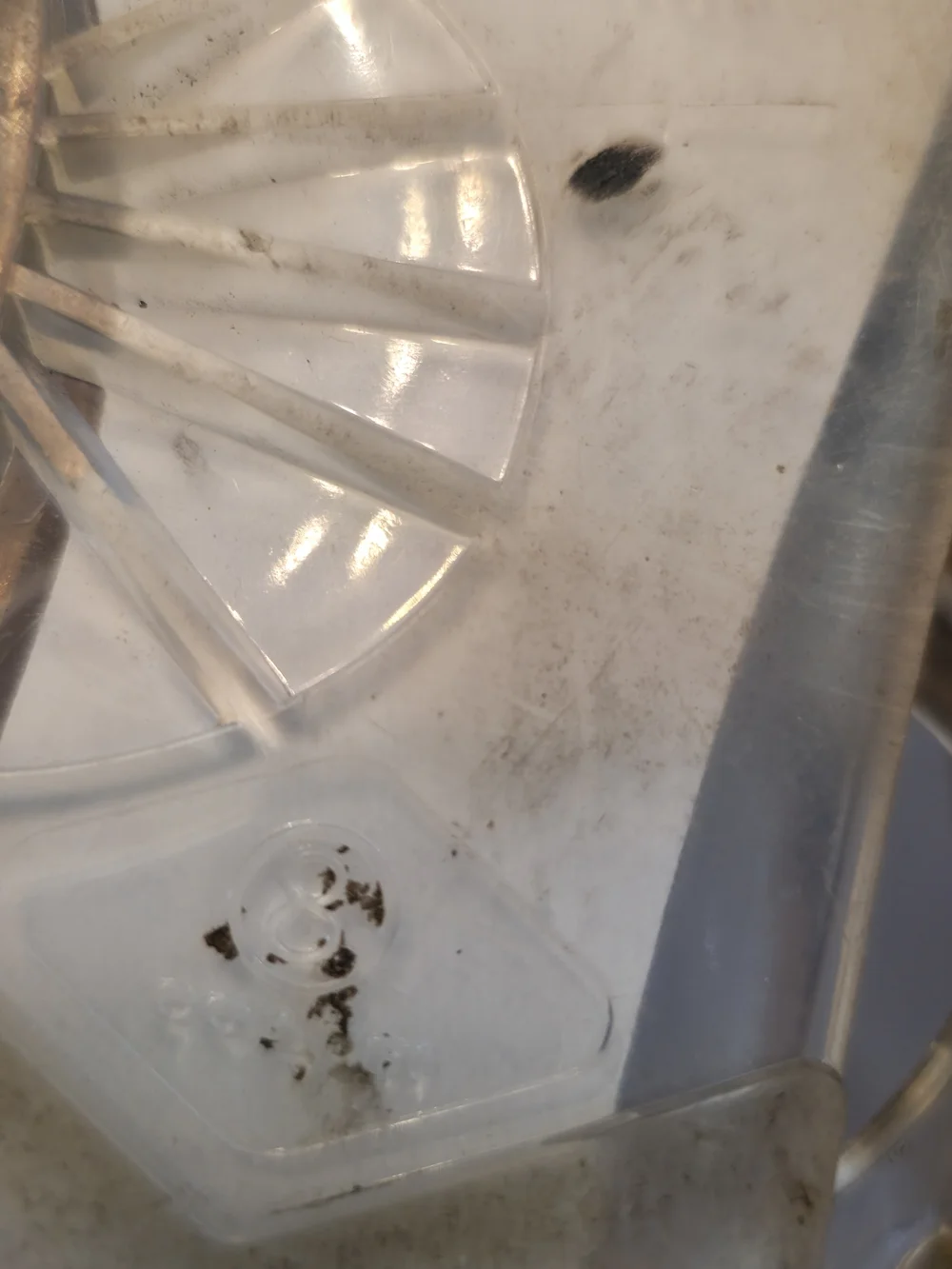 Coach Clear Jelly Thong Sandals in Clear/Beige - Picture 6 of 6